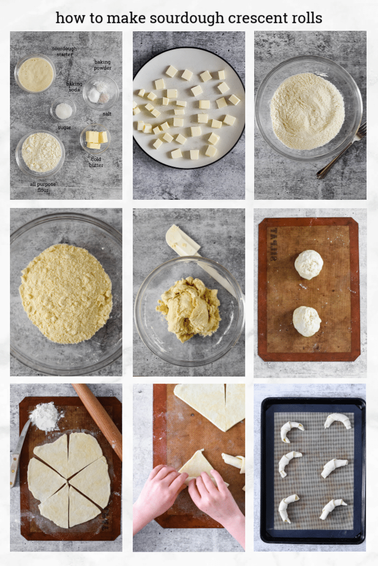 collage showing steps to make sourdough crescent rolls